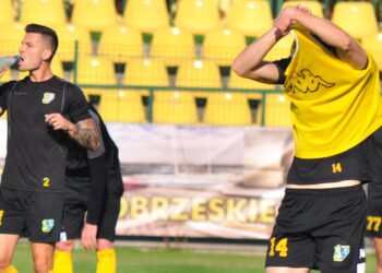 Tarnobrzeg, Stalowa Wola: Trzecia liga wstrzymana. Druga liga jeszcze gra.