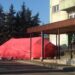 Sandomierz: Nie ma koronawirusa u pacjentów szpitala.