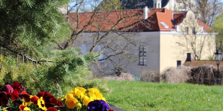 Sandomierz: Wiosenne nasadzenia w miejskich strefach zieleni.