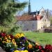 Sandomierz: Wiosenne nasadzenia w miejskich strefach zieleni.