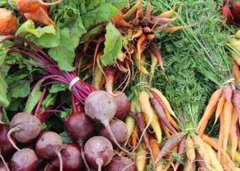 Sandomierz: Giełda owocowo-warzywna mimo ograniczeń.