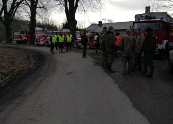 Tarnobrzeg. Szukali padłych dzików