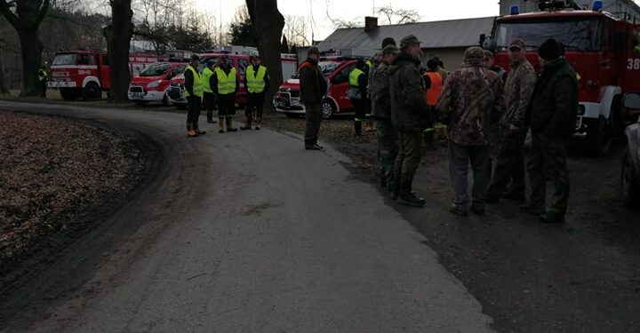 Tarnobrzeg. Szukali padłych dzików