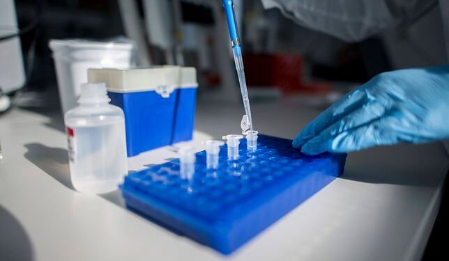 Stalowa Wola: Ograć Błękitnych