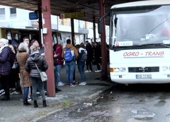 Dębica: Nowy przewoźnik.