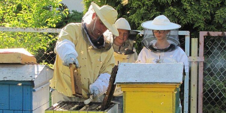 Dębica: Powstanie miejskiej pasieki