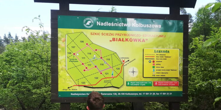 Kolbuszowa: Nie zabronią strzelać