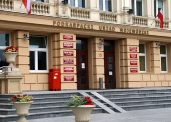 Region:  Oddelegowana karetka