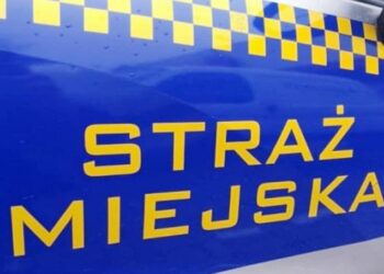 Mielec: Straż Miejska służy pomocą.