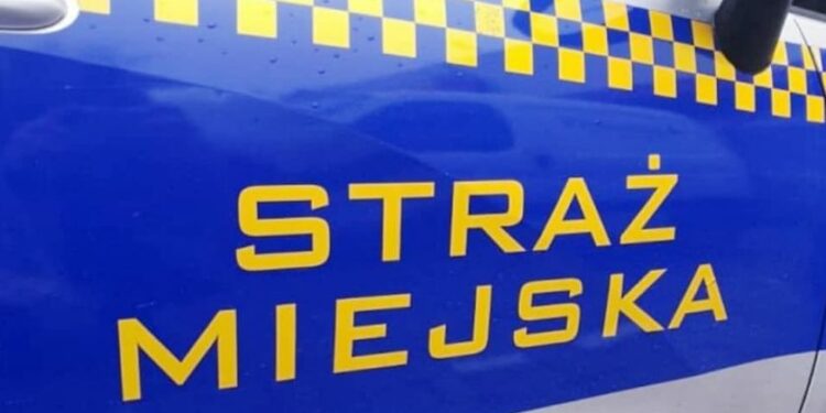 Mielec: Straż Miejska służy pomocą.
