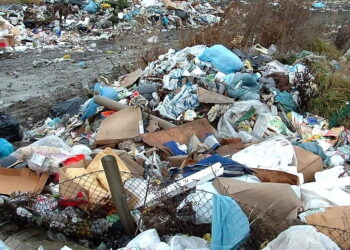 Kolbuszowa: Więcej śmieci w lasach