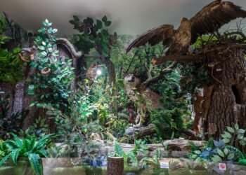 Tarnobrzeg. Centrum Natura 2000 zwiedzisz wirtualnie.