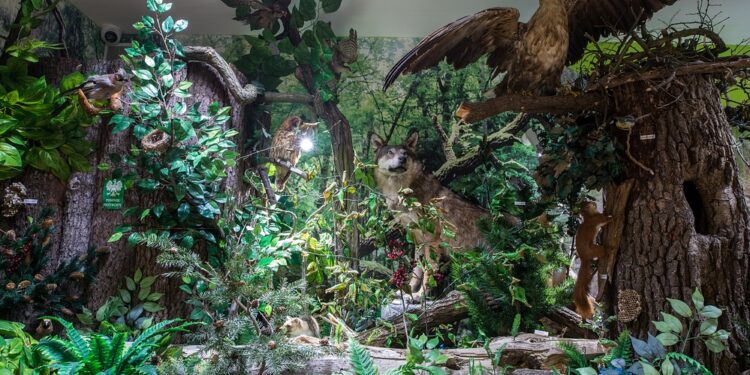 Tarnobrzeg. Centrum Natura 2000 zwiedzisz wirtualnie.