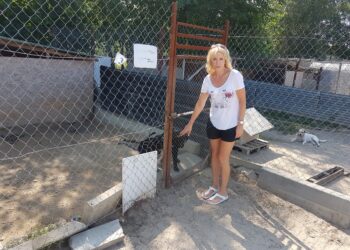 Rozmowa z Izabelą Płudowską, prezesem Stowarzyszenia Przyjaciół Zwierząt „Chrońmy Zwierzęta” w Tarnobrzegu.