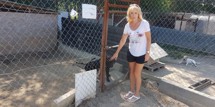 Rozmowa z Izabelą Płudowską, prezesem Stowarzyszenia Przyjaciół Zwierząt „Chrońmy Zwierzęta” w Tarnobrzegu.