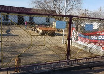 Tarnobrzeg. Zwierzęta ze schroniska potrzebują karmy i preparatów przeciwko kleszczom.