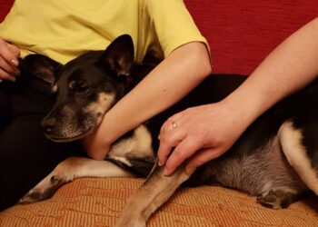 Tarnobrzeg. Korzystaj z technologii. W te święta zostań  w domu!