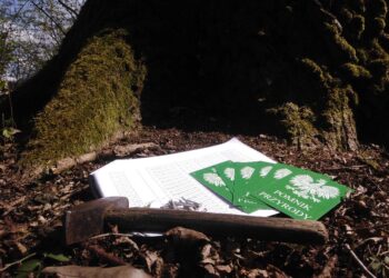 Tarnobrzeg. Oznakowano pomniki przyrody w Lesie Zwierzynieckim.