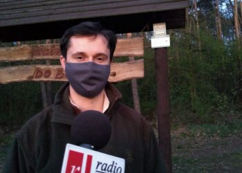 Mielec: Do lasu ale OSTROŻNIE