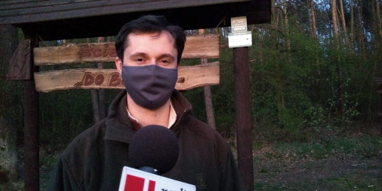 Mielec: Do lasu ale OSTROŻNIE