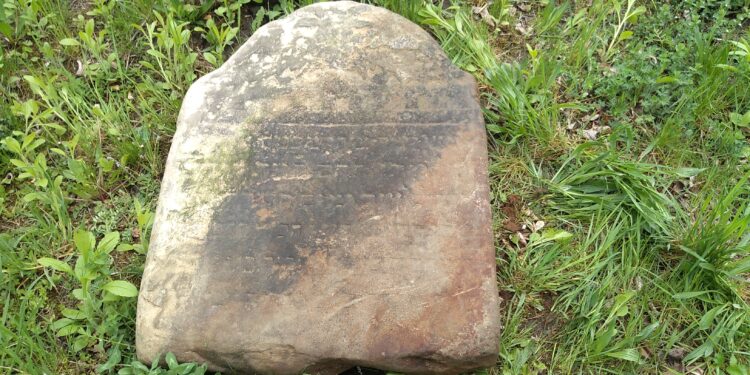 Mielec: Kolejne zabytkowe znalezisko.