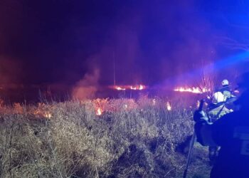 Sandomierz: Prawie 250 pożarów traw i nieużytków.