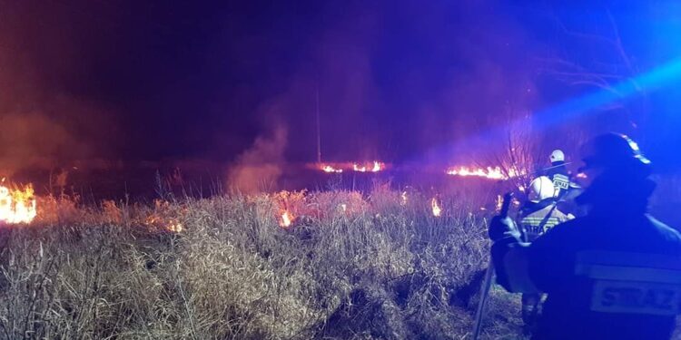 Sandomierz: Prawie 250 pożarów traw i nieużytków.