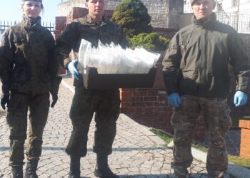 Sandomierz: Coraz więcej działań sandomierskich terytorialsów.