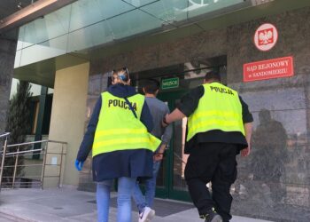 Sandomierz: Trzy miesiące aresztu za kradzież z włamaniem.