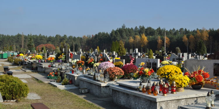 Mielec: Dojedziemy na Cmentarz Komunalny