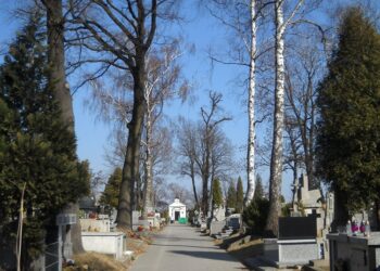 Mielec: Mieleckie cmentarze czasowo zamknięte.
