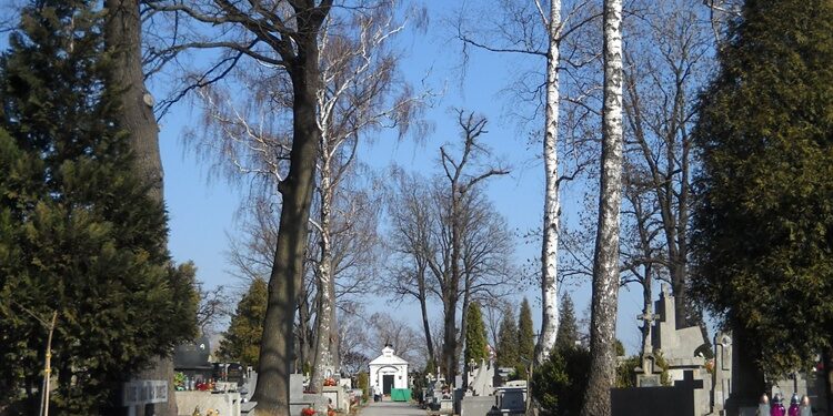 Mielec: Mieleckie cmentarze czasowo zamknięte.