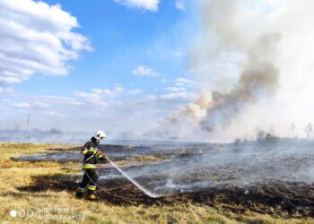 Tarnobrzeg, powiat tarnobrzeski. Pracowity weekend strażaków