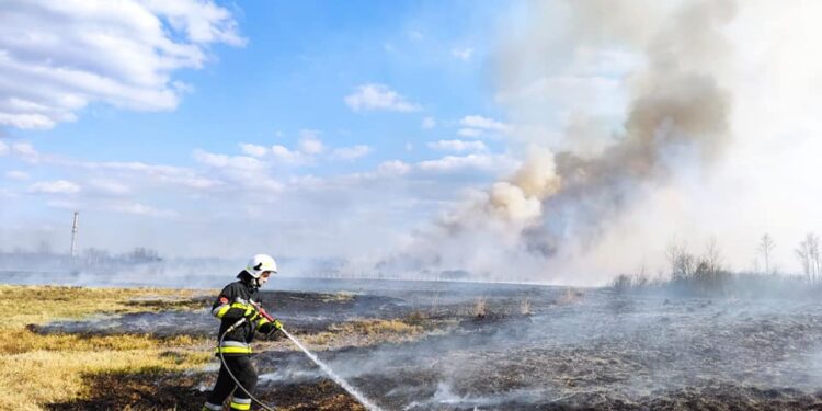 Tarnobrzeg, powiat tarnobrzeski. Pracowity weekend strażaków