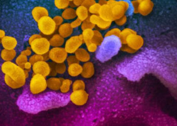 Podkarpacie: Już 95 potwierdzonych przypadków zakażenia koronawirusem