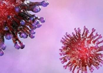 Podkarpacie, Stalowa Wola: 246 potwierdzonych na Podkarpaciu zakażeń COVID i kolejny zgon.