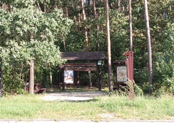Region: Godziny dzielą od wejścia do lasu