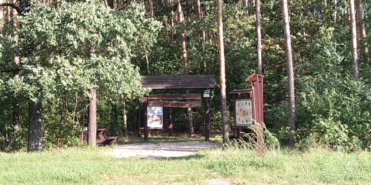 Region: Godziny dzielą od wejścia do lasu