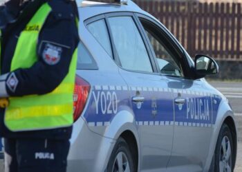 Mielec: Są mandaty, są pouczenia