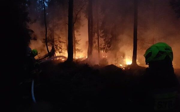 Stalowa Wola, Tarnobrzeg: Pożar lasu.