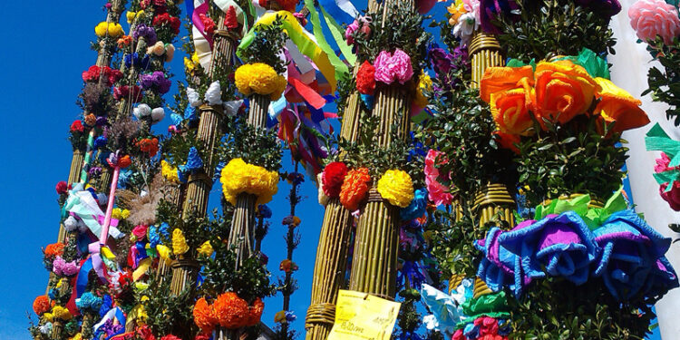 Niedziela Palmowa inna niż zwykle