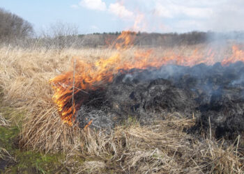 Mielec: Podejrzany o podpalenia-zatrzymany