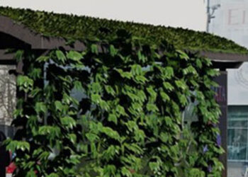 Stalowa Wola: W mieście pojawią się zielone przystanki