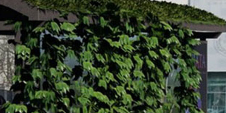 Stalowa Wola: W mieście pojawią się zielone przystanki