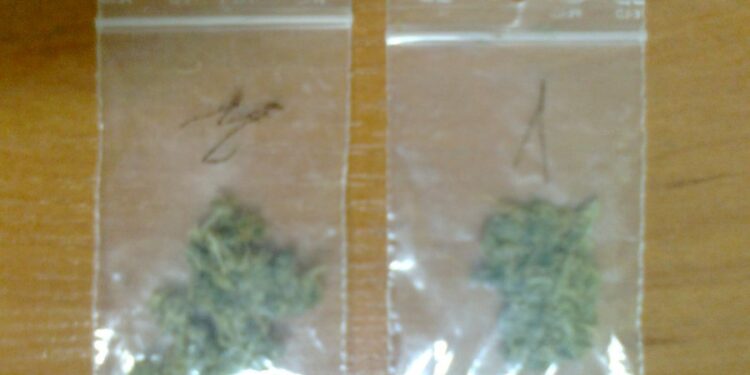 Mielec: Solidarność braterska.