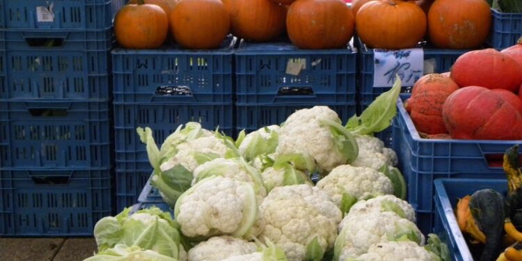 Staszów. Komputery dla uczniów i nauczycieli