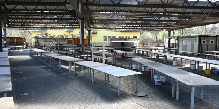 Dębica: Mogą zrobić zakupy.