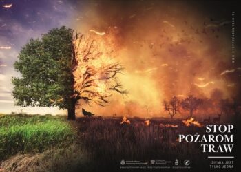 Mielec: STOP wypaleniom traw