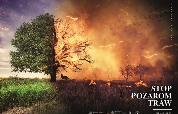 Mielec: STOP wypaleniom traw