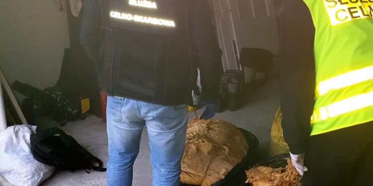 Nisko: 100 kilogramów nielegalnego tytoniu